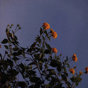 欧美色欧美亚洲高清在线视频
